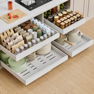 PAKETA Pull Out Cabinet Organizer Shelf